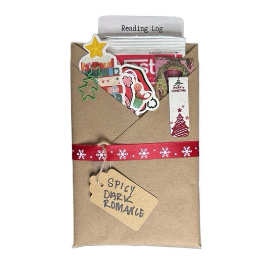 Christmas Blind Date With A Book